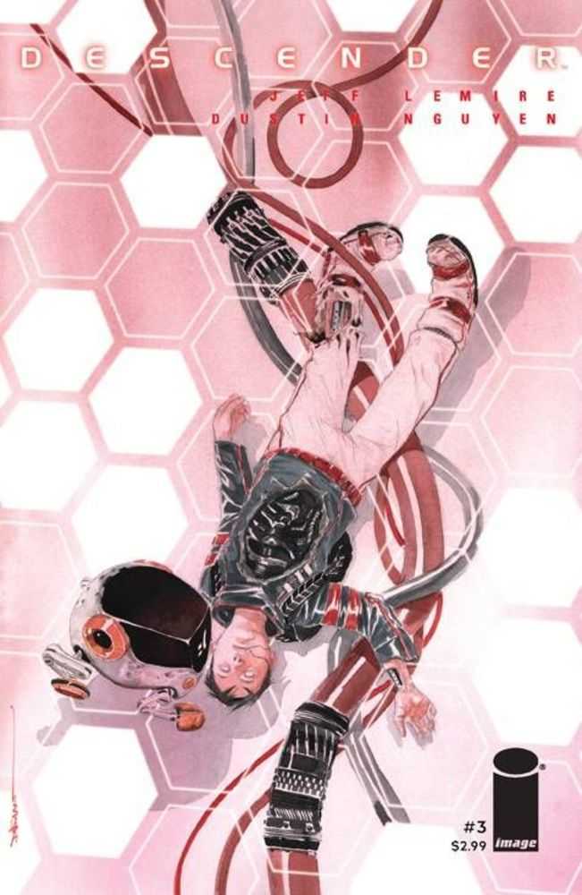 Descender #3 (Mature)