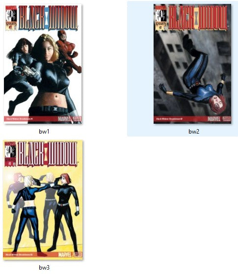 Black Widow #1-3 (2001 V2) NM